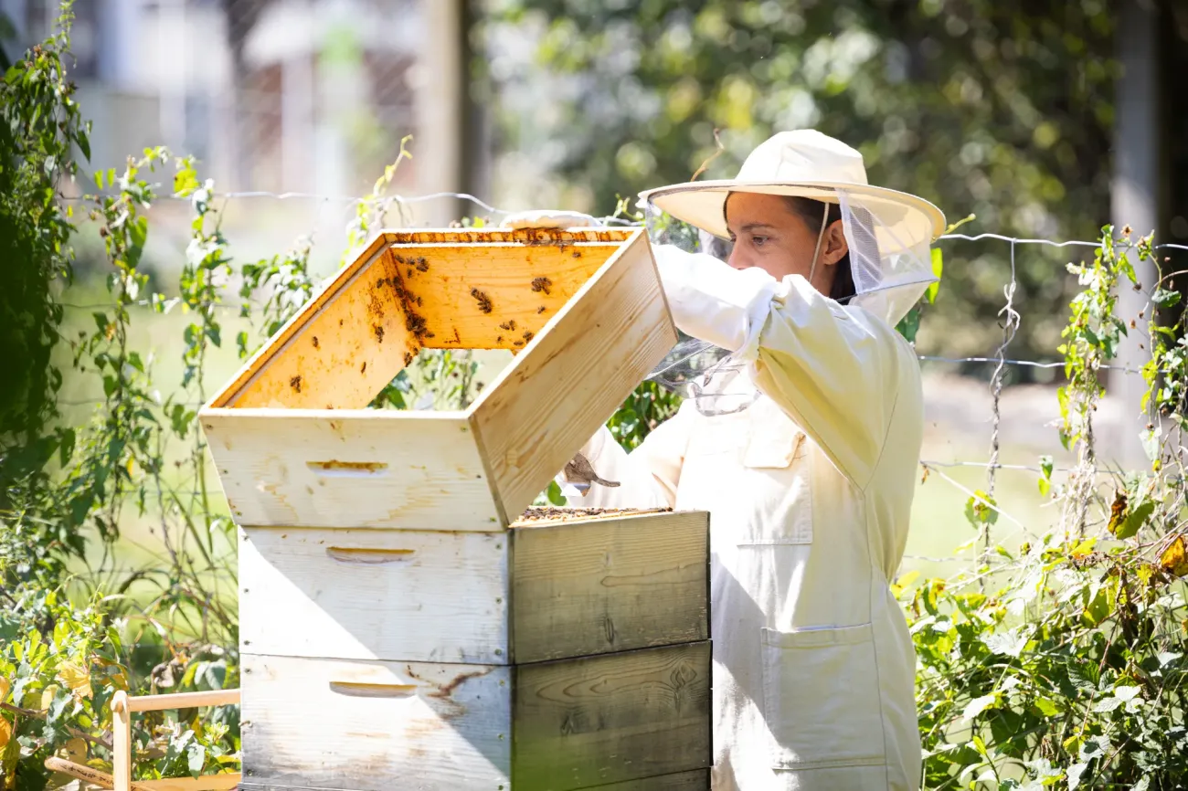 Tiergestützte Therapie mit Bienen